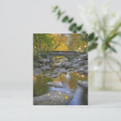 VS, Oregon, Ashland, Lithia Park. Herfst Briefkaart (Staand voorkant)