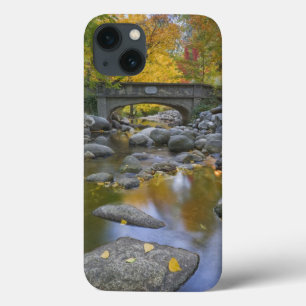 VS, Oregon, Ashland, Lithia Park. Herfst iPhone 13 Hoesje