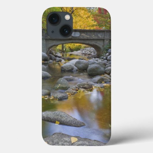 VS, Oregon, Ashland, Lithia Park. Herfst Case-Mate iPhone Case (Achterkant)