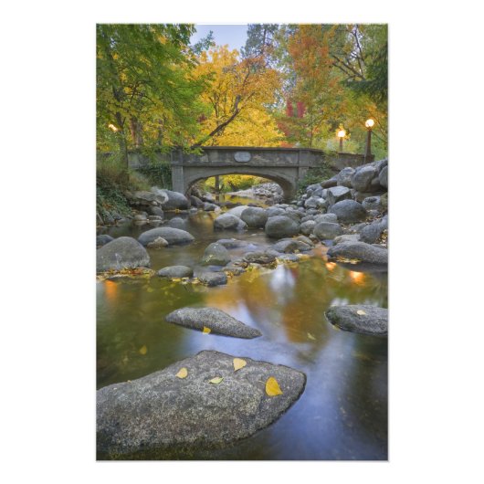 VS, Oregon, Ashland, Lithia Park. Herfst Foto Afdruk (Voorkant)
