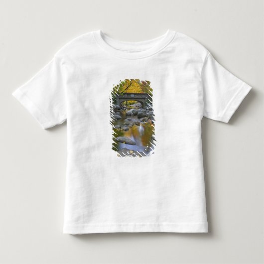 VS, Oregon, Ashland, Lithia Park. Herfst Kinder Shirts (Voorkant)