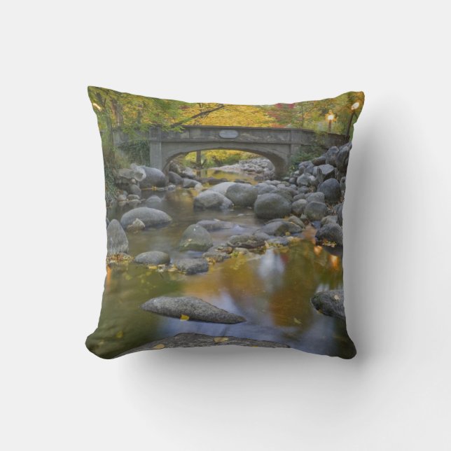 VS, Oregon, Ashland, Lithia Park. Herfst Kussen (Voorkant)