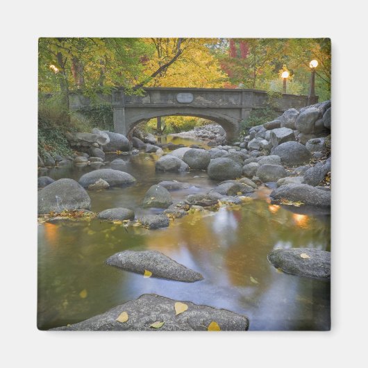 VS, Oregon, Ashland, Lithia Park. Herfst Magneet (Voorkant)