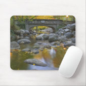 VS, Oregon, Ashland, Lithia Park. Herfst Muismat (Met muis)
