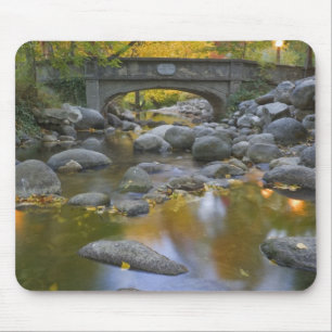 VS, Oregon, Ashland, Lithia Park. Herfst Muismat