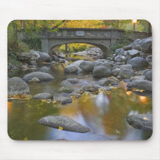 VS, Oregon, Ashland, Lithia Park. Herfst Muismat (Voorkant)
