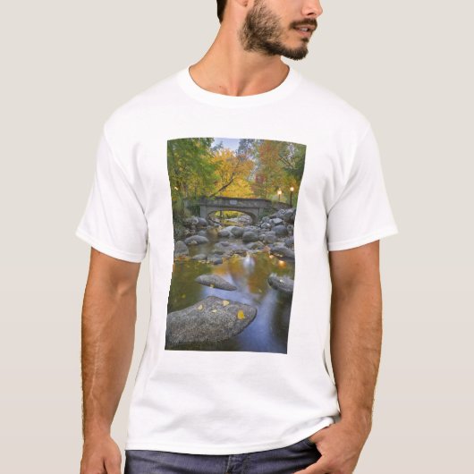 VS, Oregon, Ashland, Lithia Park. Herfst T-shirt (Voorkant)
