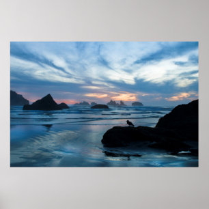 VS, Oregon, Bandon Beach. Seagull op rock Poster
