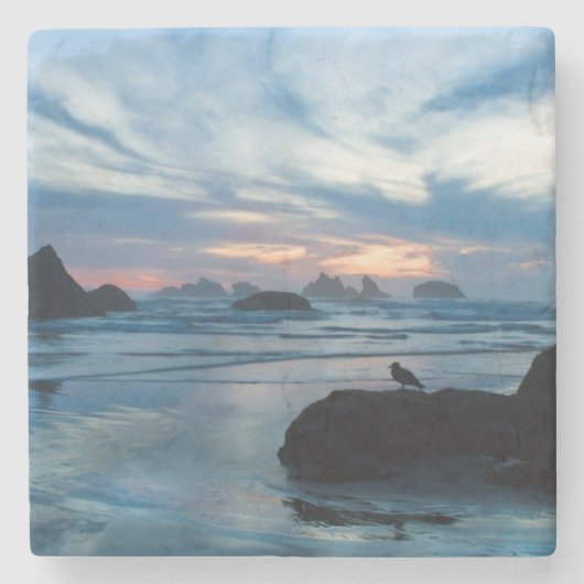 VS, Oregon, Bandon Beach. Seagull op rock Stenen Onderzetter (Voorkant)
