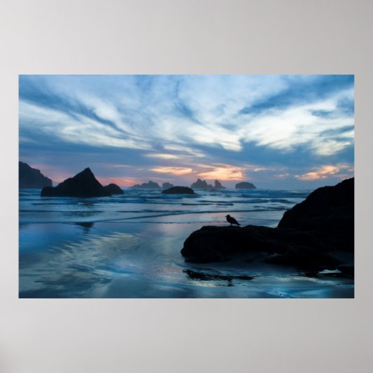 VS, Oregon, Bandon Beach. Seagull op rots Poster (Voorkant)