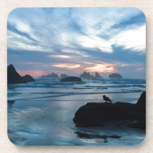 VS, Oregon, Bandon Beach. Zeemeeuw op rots Bier Onderzetter
