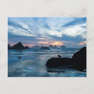 VS, Oregon, Bandon Beach. Zeemeeuw op rots Briefkaart