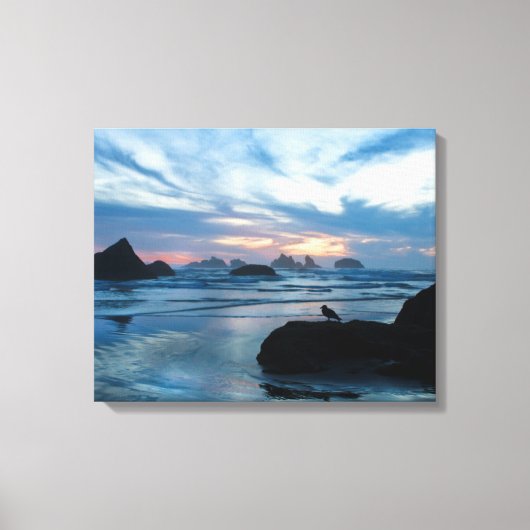 VS, Oregon, Bandon Beach. Zeemeeuw op rots Canvas Afdruk (Voorkant)