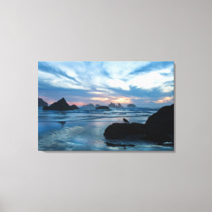 VS, Oregon, Bandon Beach. Zeemeeuw op rots Canvas Afdruk