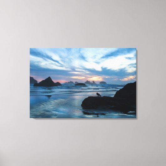 VS, Oregon, Bandon Beach. Zeemeeuw op rots Canvas Afdruk (Voorkant)