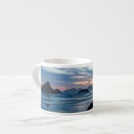 VS, Oregon, Bandon Beach. Zeemeeuw op rots Espresso Kop (Links)