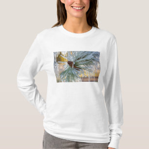 VS, Oregon, Bend. Ponderosa-dennennaalden zijn T-shirt