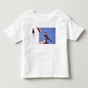 VS, Oregon. Boomzwaluw Tachycineta Kinder Shirts