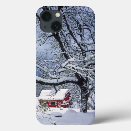 VS, Oregon, Clackamas County. Verse sneeuw bedekt Case-Mate iPhone Case (Achterkant)