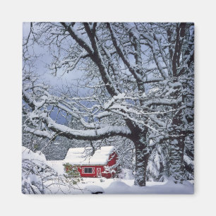 VS, Oregon, Clackamas County. Verse sneeuw bedekt Magneet