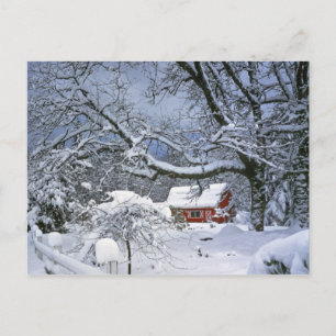 VS, Oregon, Clackamas County. Verse sneeuw Briefkaart
