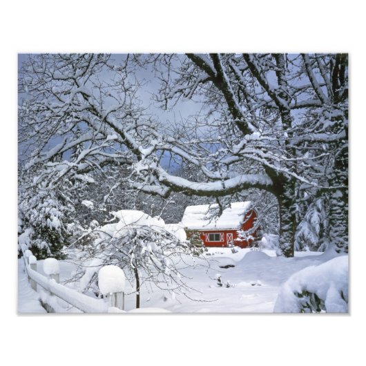 VS, Oregon, Clackamas County. Verse sneeuw Foto Afdruk (Voorkant)