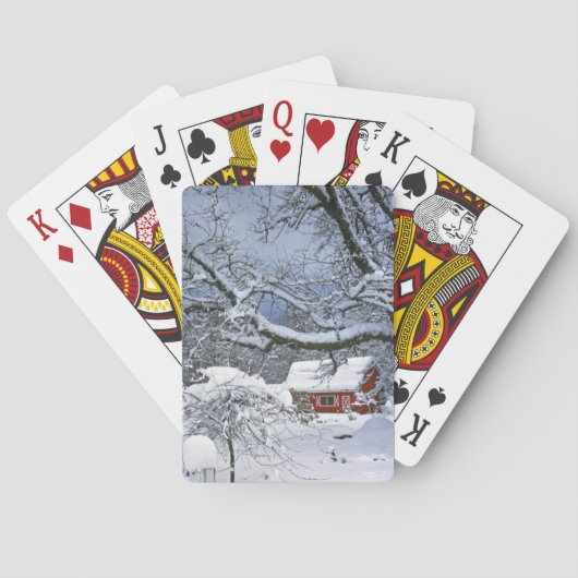 VS, Oregon, Clackamas County. Verse sneeuw Speelkaarten (Achterkant)