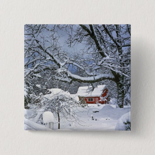 VS, Oregon, Clackamas County. Verse sneeuw Vierkante Button 5,1 Cm (Voorkant)