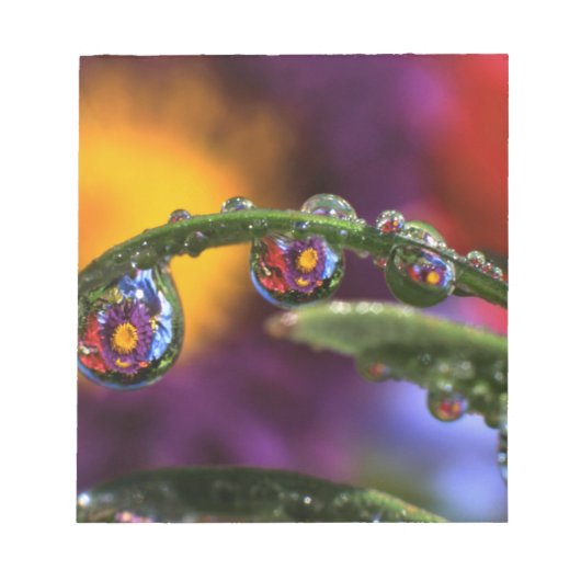 VS, Oregon, Close-up abstract van paars Notitieblok (Voorkant)