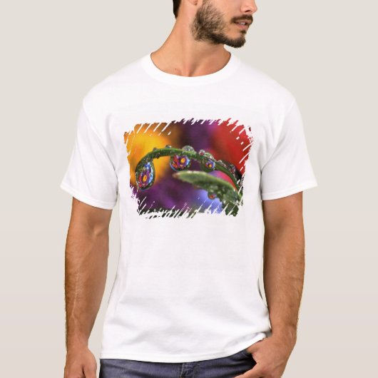 VS, Oregon, Close-up abstract van paars T-shirt (Voorkant)