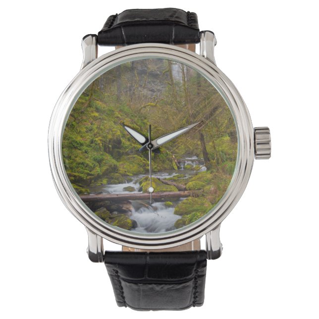 VS, Oregon, Columbia Gorge Horloge (Voorkant)