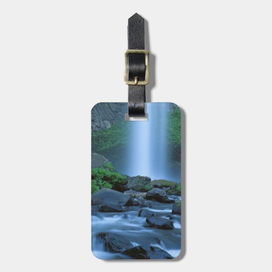 VS, Oregon, Columbia Gorge, Latourell Falls Bagagelabel (Voorkant verticaal)