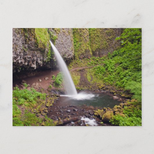 VS, Oregon, Columbia River Gorge 4 Briefkaart (Voorkant)