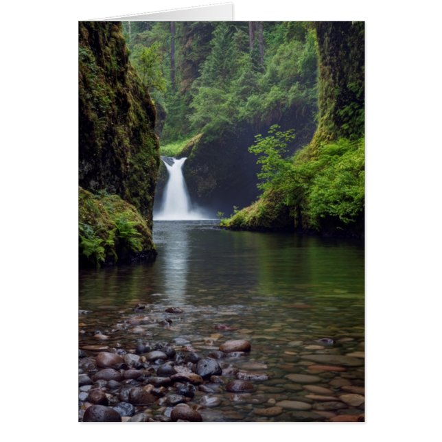 VS, Oregon, Columbia River Gorge 5 (Voorkant)
