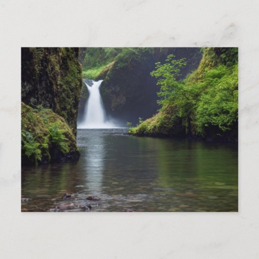 VS, Oregon, Columbia River Gorge 5 Briefkaart (Voorkant)