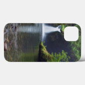 VS, Oregon, Columbia River Gorge 5 Case-Mate iPhone Case (Achterkant (horizontaal))