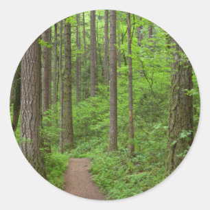 VS, Oregon, Columbia River Gorge. Elowah Falls Ronde Sticker