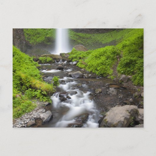 VS, Oregon, Columbia River Gorge, Latourell Briefkaart (Voorkant)