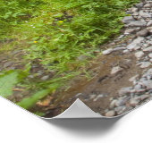VS, Oregon, Columbia River Gorge, Latourell Poster (Hoek)