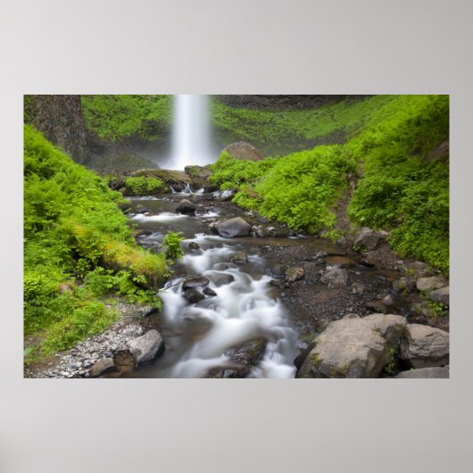 VS, Oregon, Columbia River Gorge, Latourell Poster (Voorkant)