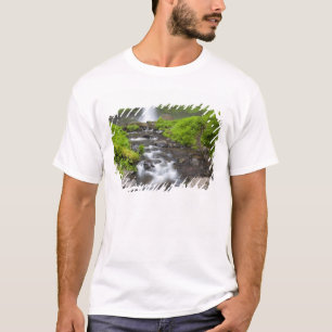 VS, Oregon, Columbia River Gorge, Latourell T-shirt