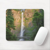 VS, Oregon, Columbia River Gorge, Multnomah Muismat (Met muis)