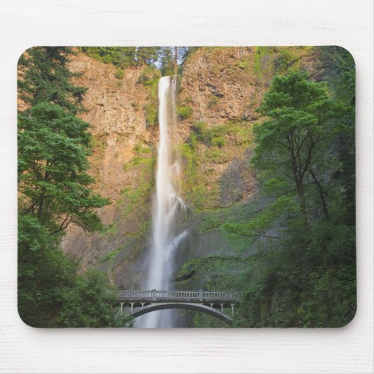 VS, Oregon, Columbia River Gorge, Multnomah Muismat (Voorkant)