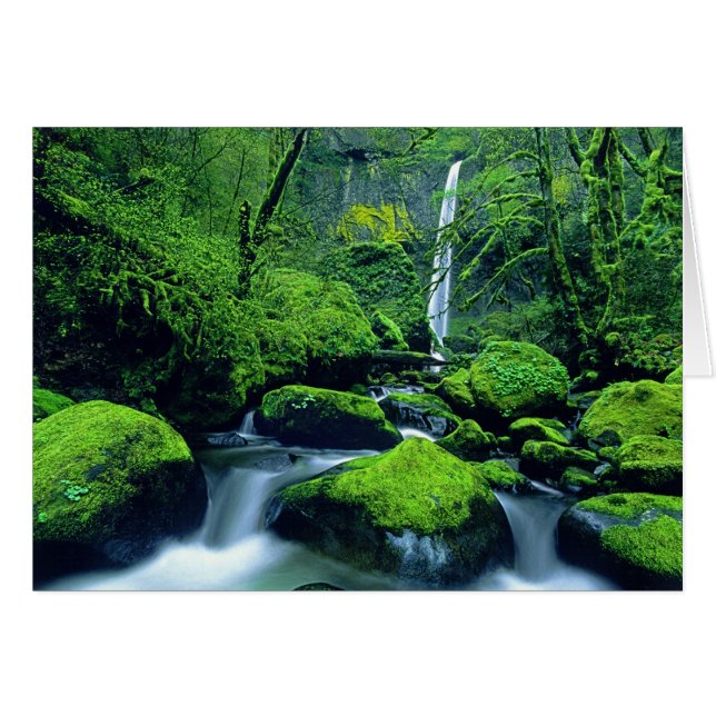 VS, Oregon, Columbia River Gorge National 2 (Voorkant Horizontaal)