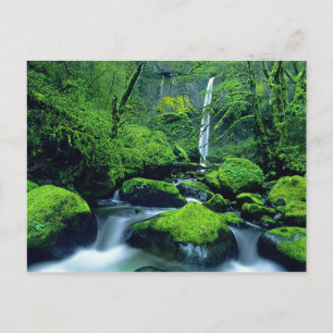 VS, Oregon, Columbia River Gorge National 2 Briefkaart
