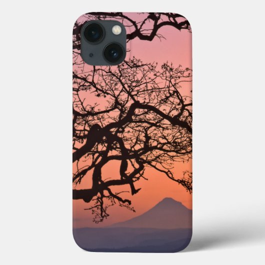VS, Oregon, Columbia River Gorge National 2 Case-Mate iPhone Case (Achterkant)