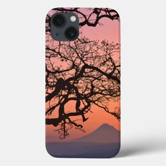 VS, Oregon, Columbia River Gorge National 2 Case-Mate iPhone Case (Achterkant)