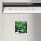 VS, Oregon, Columbia River Gorge National 2 Magneet (Insitu (Vaatwasser))
