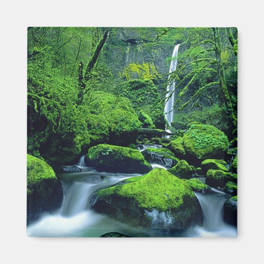 VS, Oregon, Columbia River Gorge National 2 Magneet (Voorkant)