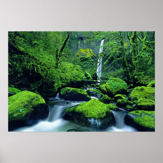 VS, Oregon, Columbia River Gorge National 2 Poster (Voorkant)